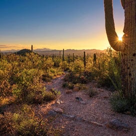 Arizona Image