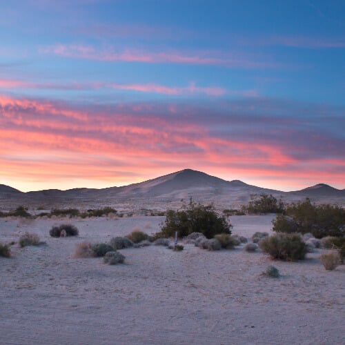 Nevada Image